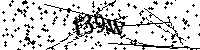 Prosimy wpisać litery i cyfry poniżej