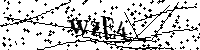 Prosimy wpisać litery i cyfry poniżej