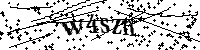 Prosimy wpisać litery i cyfry poniżej