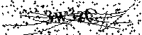 Prosimy wpisać litery i cyfry poniżej