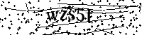 Prosimy wpisać litery i cyfry poniżej