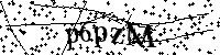 Prosimy wpisać litery i cyfry poniżej