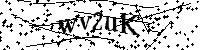 Prosimy wpisać litery i cyfry poniżej