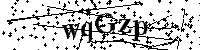 Prosimy wpisać litery i cyfry poniżej