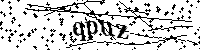 Prosimy wpisać litery i cyfry poniżej
