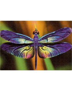 Puzzle 250 Colourful Nature 3 Dragonfly PUZ250CN3D INTERDRUK