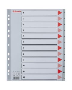 Przekładki PP 100125 1-12 maxi ESSELTE