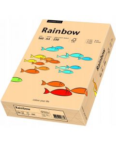 Papier ksero A4 160g RAINBOW R40 łososiowy 88042505