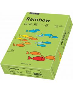 Papier ksero A4 160g RAINBOW R76 zielony 88042659