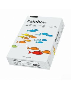 Papier ksero A4 160g RAINBOW R93 jasno szary 250ark 88042791