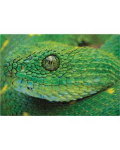 Puzzle 250 Colourful Nature 4 Snake PUZ250CN4S INTERDRUK