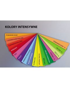 Papier ksero A4 80g TROPHEE zielony fluo 2975 500ark