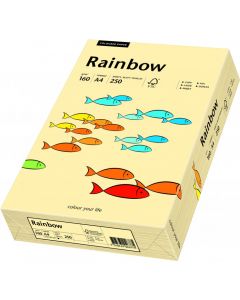 Papier ksero A4 160g RAINBOW R06 kość słoniowa/chamois 250ark 88042283