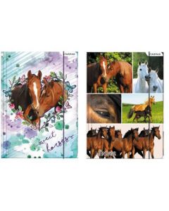 Teczka z gumką A4 STK SWEET HORSES 298952 STARPAK