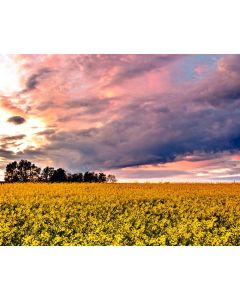 Kalendarz wieloplanszowy 13 kartkowy Polskie Krajobrazy W2 BESKIDY