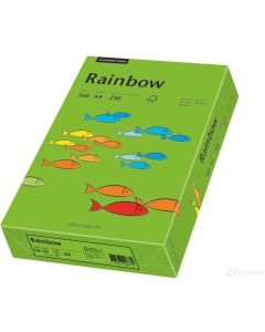Papier ksero A4 160g RAINBOW R78 ciemny zielony 88042681