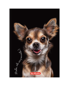 Brulion A6 80k kratka CRAZY ANIMAL 400196850 HERLITZ