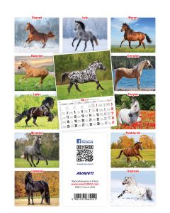 Kalendarz ścienny mały KONIE KSM-S-5 AVANTI