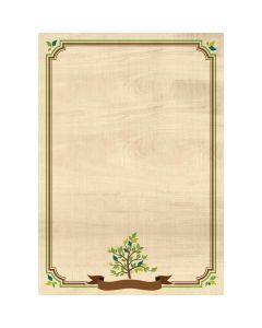 Dyplom A4 NATURA 170g (25ark.) 219117 Galeria Papieru