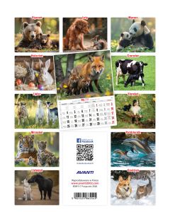 Kalendarz ścienny mały PRZYJACIELE KSM-S-7 AVANTI