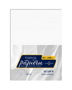 Karton wizytówkowy A4 246g DZ109-B (25) MICHALCZYK I PROKOP