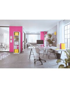 Pudło na DVD LEITZ C&S WOW różowy 60420023