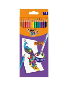 Kredki KIDS EVOLUTION ILLUSION ołówkowe pudełko 12kol. 9878681 BIC
