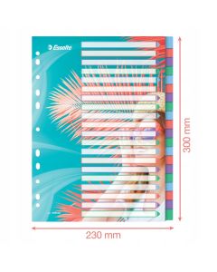 Przekładki Colour`Breeze PP A4 20 przekładek 628502 ESSELTE