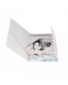 Teczka z gumką A4 PIESKI 559719 STARPAK