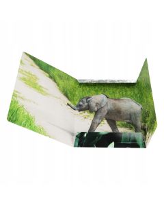 Teczka z gumką A4 WILD ANIMAL KOALA 559730 STARPAK